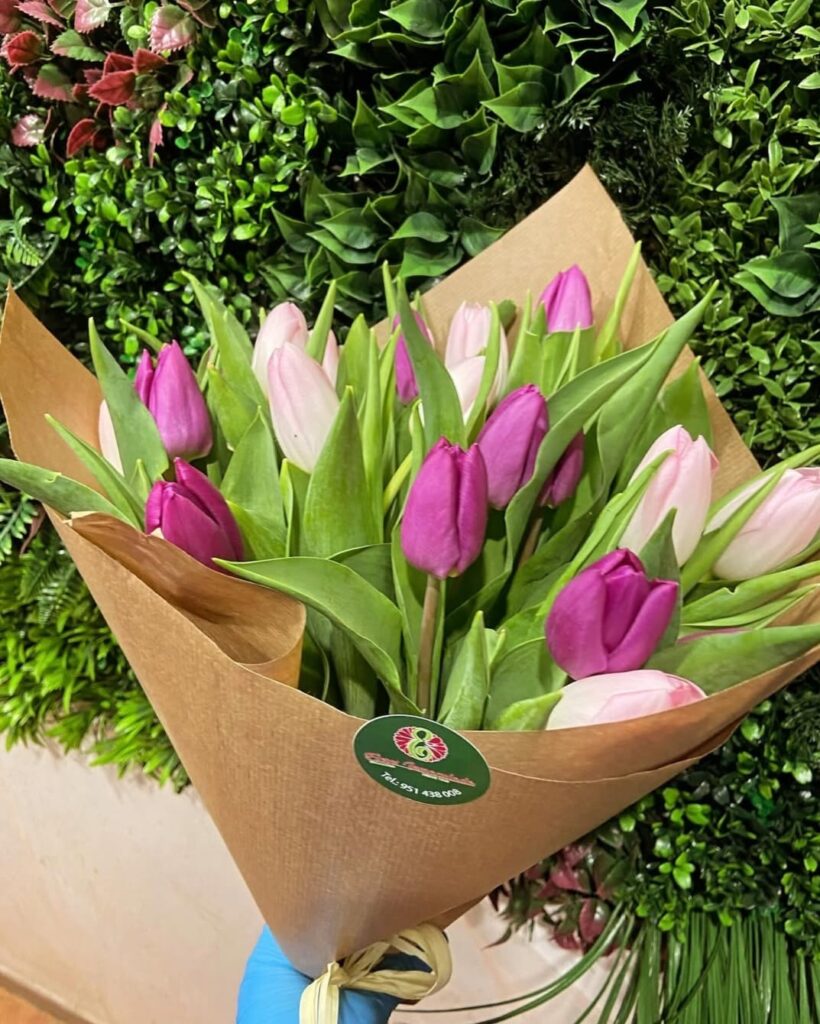 Flores Inmaculada tulipanes