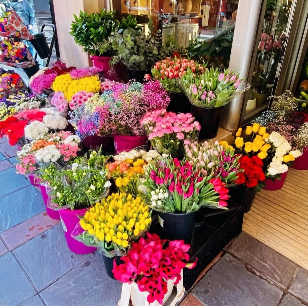 Flores inmculada flroes